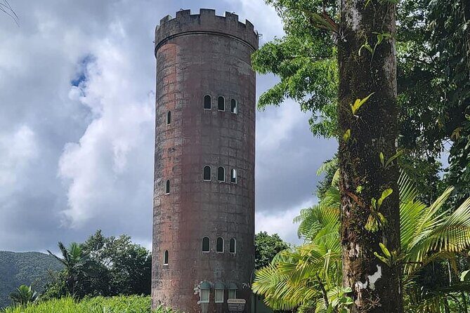 El Yunque National Forest Guided Tour with Transport - Who This Tour Fits Best (and Who Might Want a Different Plan)