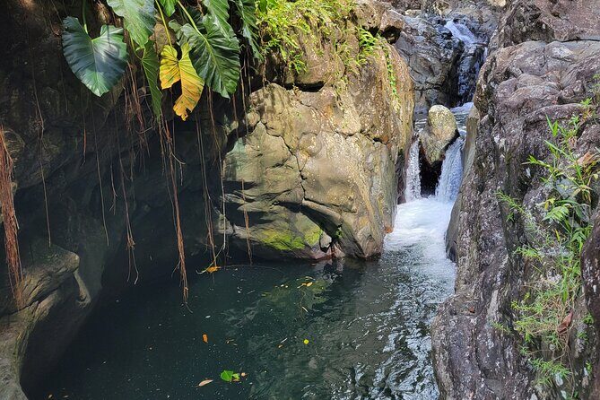 El Yunque Rainforest and Luquillo Kiosk Day Trip - The guide matters on slippery trails (and the group size helps)