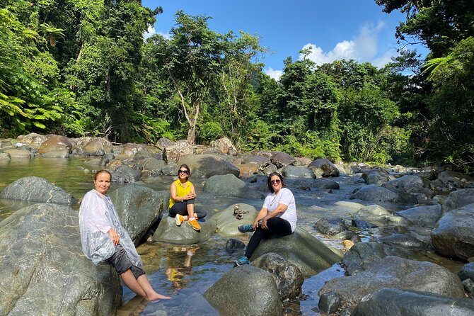 El Yunque Rainforest Guided Day Tour from San Juan - La Coca Waterfall From the Car: Scenic, Brief, and on Purpose
