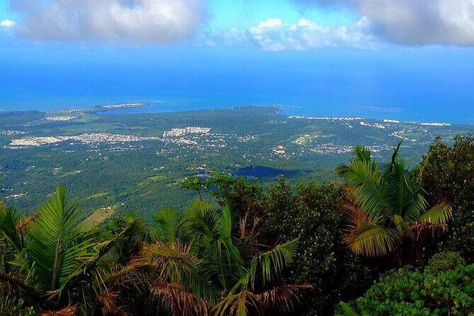 El Yunque Rainforest Guided Tour - Key highlights to look for on this El Yunque tour
