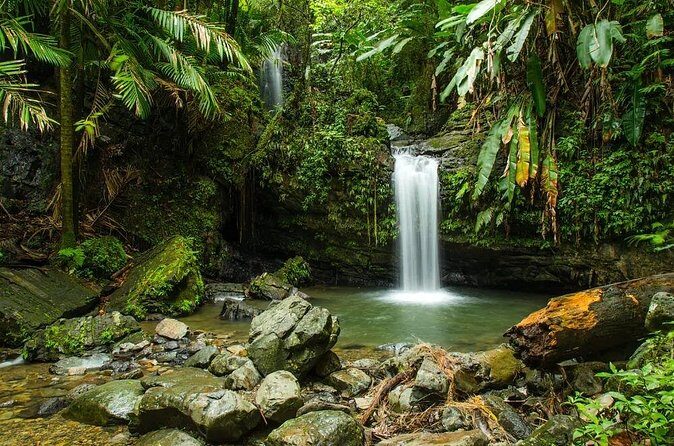 El Yunque Rainforest Guided Tour - Lunch isn’t included, but the food stop can be the payoff