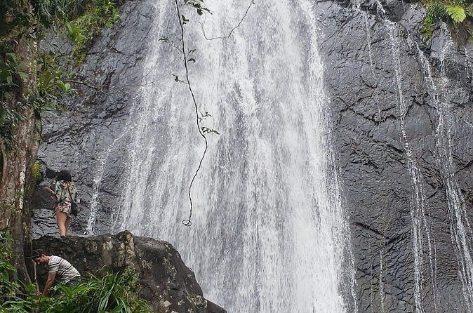 El Yunque Rainforest Guided Tour - Guides do the real work: Pedro, Isaac, Juan, Luis, and more