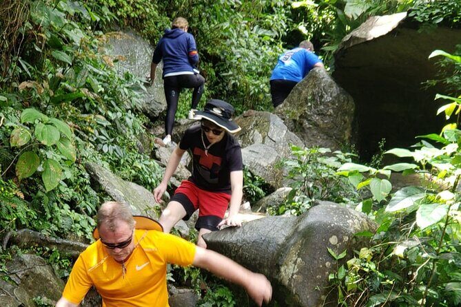 El Yunque Rainforest Guided Tour - The 8:30 a.m. start that makes the tour feel efficient