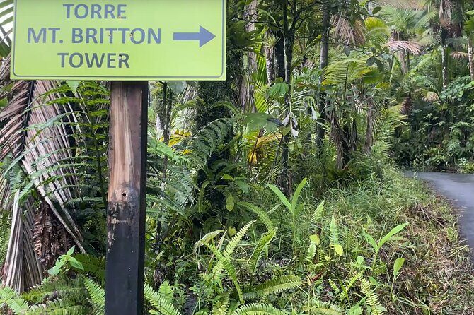 El Yunque Rainforest Hike with Transport from San Juan - Getting to El Yunque: why this starts with smart transport
