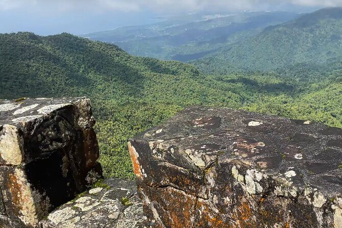 El Yunque Rainforest Hike with Transport from San Juan - Mt. Britton Lookout Tower: the view break you’ll remember