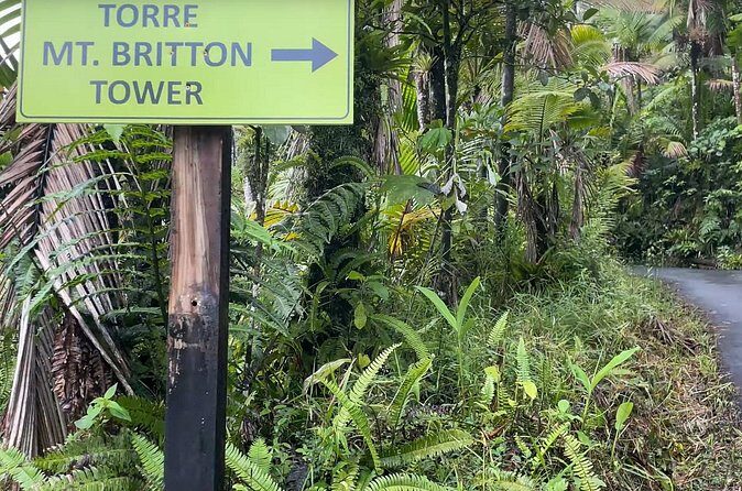 El Yunque Rainforest Hike with Transport from San Juan - Guides make the difference: Luis and Diana style of storytelling