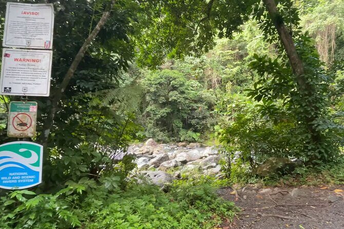 El Yunque Rainforest Hike with Transport from San Juan - Price and value: what $125 includes (and what it doesn’t)