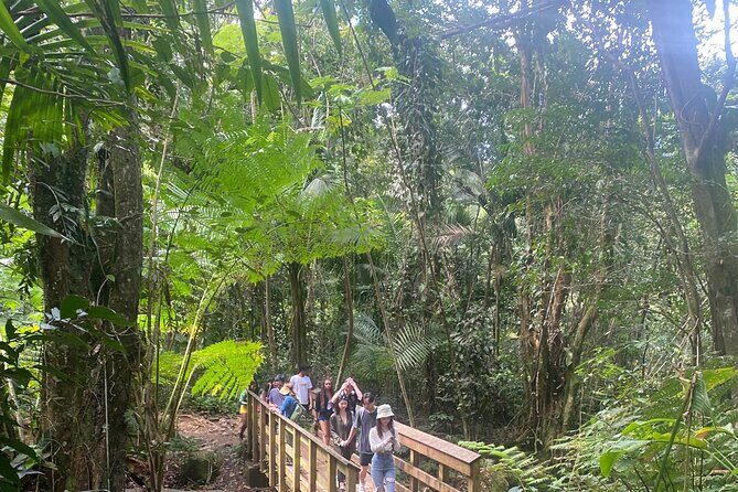 El Yunque Rainforest Hiking Tour from San Juan - Quick Key Points