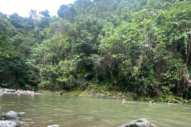 El Yunque Rainforest Hiking Tour from San Juan - La Coca Falls: Waterfall Time, With a Rainforest Pace