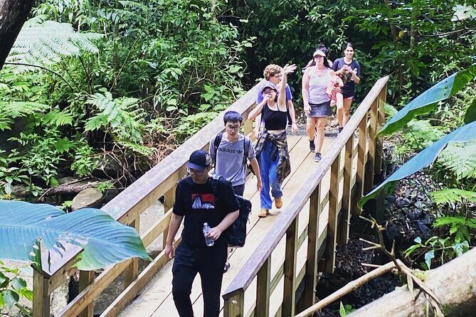 El Yunque Rainforest Hiking Tour from San Juan - The Natural Pool and Optional Swim: What You Should Plan For