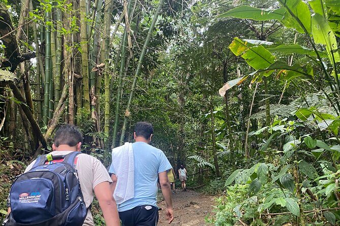 El Yunque Rainforest Hiking Tour from San Juan - What Makes the Tour Feel Worth It: Guide Energy and Safety