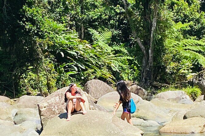 El Yunque Rainforest Hiking Tour from San Juan - Price and Value: Is $79 a Smart Deal?