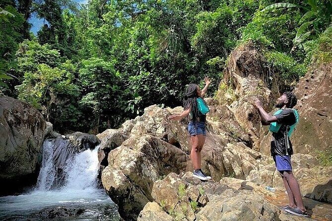 El Yunque Rainforest Tour Half Day Earlybird/ Small Groups - Stop 2: El Yunque National Forest, where the walk turns into play