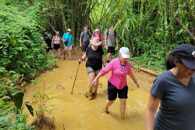 El Yunque Rainforest - Waterslide, Cliff jump, and Rope swing! - Snacks, bottled water, and photos/videos: value you feel later