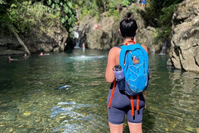 El Yunque Small Group Tour with Luquillo Lunch Stop and Transport - Guides make the day: the people you might meet and what they do well