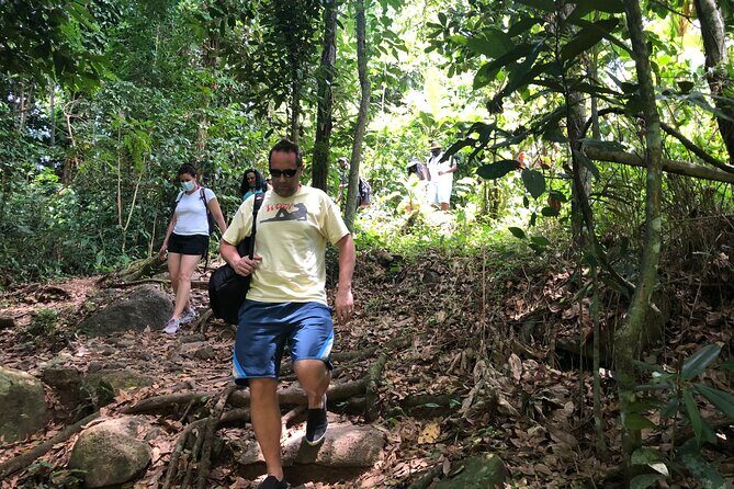 Epic Guided Adventure in El Yunque National Rainforest & Beach - Tips to make the day smoother (before and during)