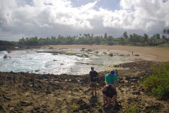Explore Cueva del Indio + La Poza del Obispo Beach - Arecibo food trucks stop: turning fuel into a Puerto Rico taste test