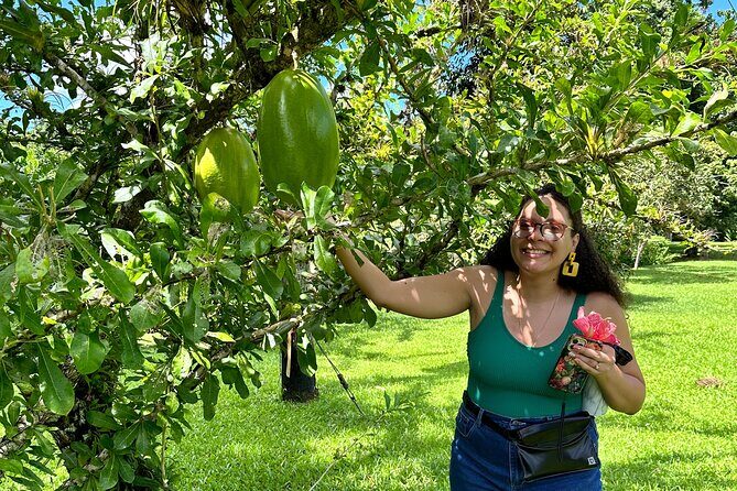 Explore Indigenous Roots, Experience a day in the life of a Taíno - Utuado and the off-the-grid permaculture farm: sustainability with answers