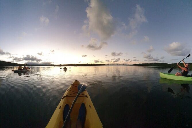 Fajardo Bioluminescent Bay Night Kayak Adventure from San Juan - The Bio Bay glow: why this tour is worth the effort