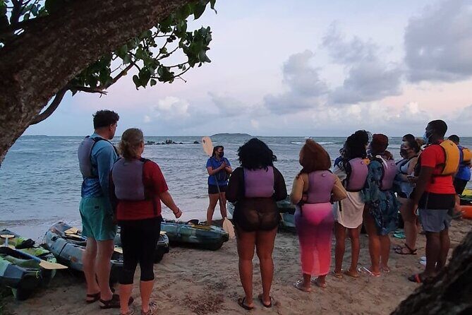 Fajardo Bioluminescent Bay Night Kayak Adventure from San Juan - Guides and safety: the part you should trust