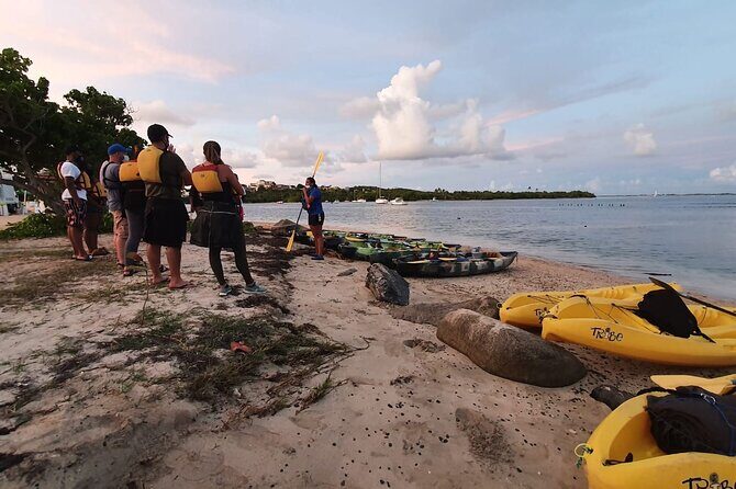 Fajardo Bioluminescent Bay Night Kayak Adventure from San Juan - Timing expectations: what “2 hours” doesn’t always include