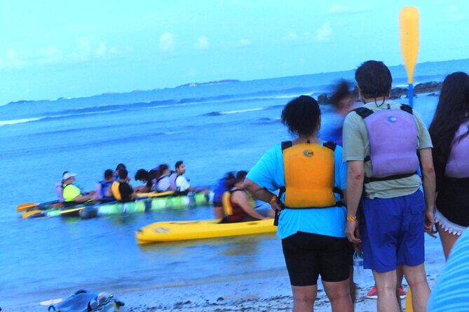 Fajardo Bioluminescent Bay Night Kayak Adventure from San Juan - Who this tour suits best (and who should pass)