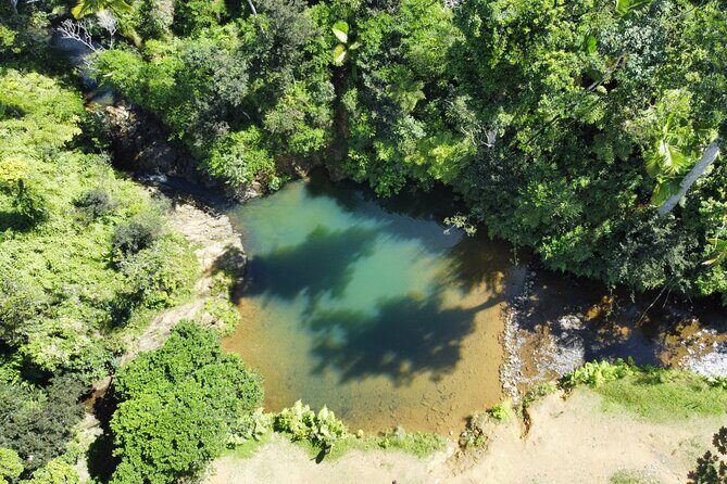 Famous Guavate Pork Road & Charco Azul Food & River Tour - How the Timing Works in a 6-Hour Day