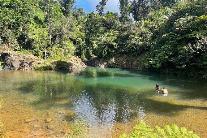 Famous Guavate Pork Road & Charco Azul Food & River Tour - Price and Value: Why $110 Can Make Sense