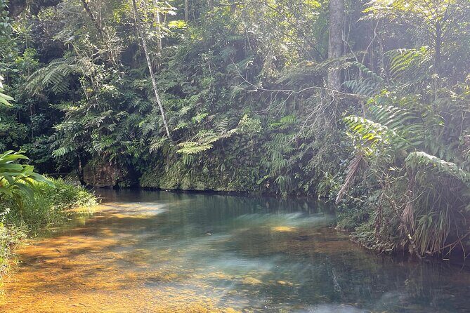 Famous Guavate Pork Road & Charco Azul Food & River Tour - What to Bring: Shoes, Swimwear, and Weather Readiness