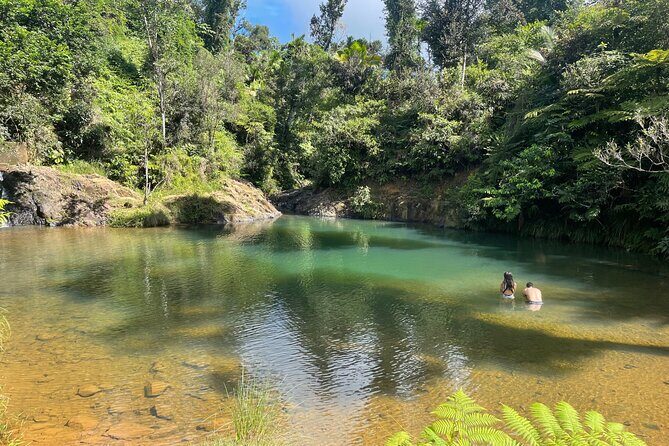 Famous Guavate Pork Road & Charco Azul Food & River Tour - Who This Tour Suits (and Who Might Want a Different Plan)