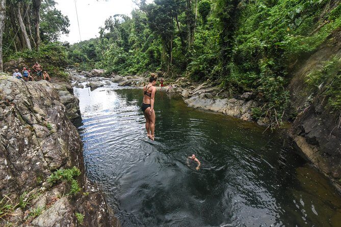 From San Juan: El Yunque Rainforest Hiking Adventure - Key highlights worth waking up for