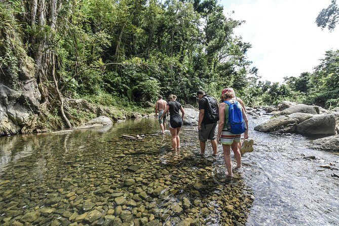 From San Juan: El Yunque Rainforest Hiking Adventure - Entering El Yunque the active way: hiking, pools, and that long slide