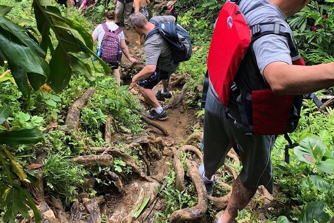 From San Juan: El Yunque Rainforest Hiking Adventure - Guides make or break a muddy day (and this one usually delivers)