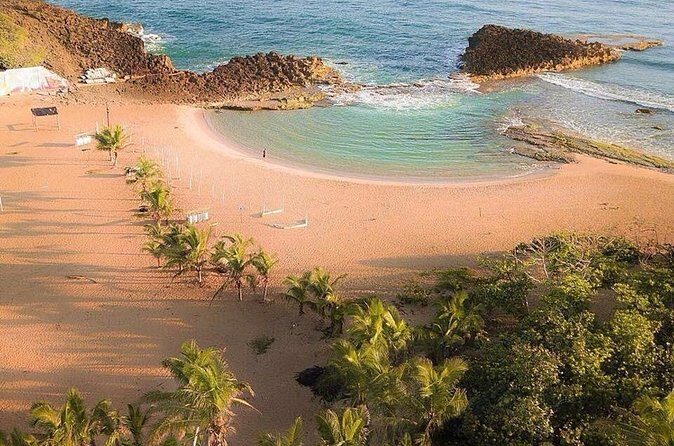 Full-Day Gozalandia Private Tour in Puerto Rico - Price and value: what you’re really paying for