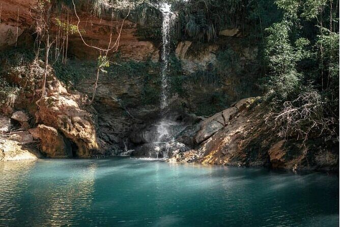 Full-Day Gozalandia Private Tour in Puerto Rico - Catarata Gozalandia: the hike, the pools, and the payoff