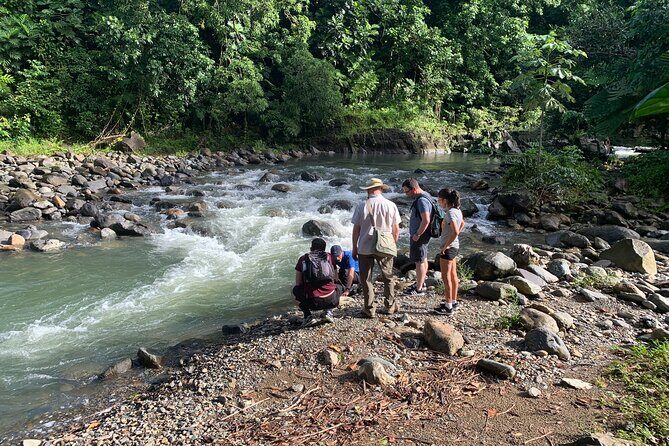 Full-Day Tour: El Yunque, Luquillo Beach, Bio Bay Night Kayaking - Luquillo Kiosks and beach time: food, sun, and a reset before dark paddling