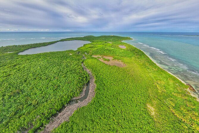 Full-Day Tour: El Yunque, Luquillo Beach, Bio Bay Night Kayaking - Price and value: is $155 worth it for this Puerto Rico trio?