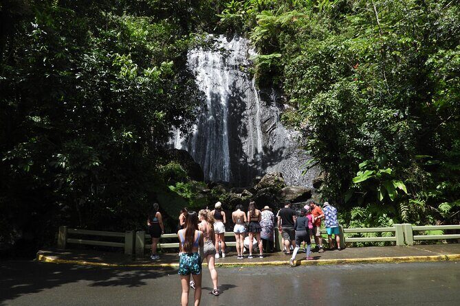 Full-Day Tour: El Yunque, Luquillo Beach, Bio Bay Night Kayaking - Should you book this El Yunque, Luquillo, and Bio Bay kayaking combo?