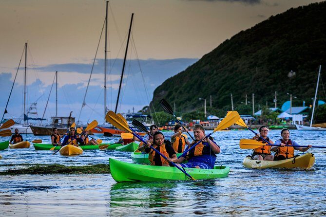 Full-Day Tour: El Yunque, Luquillo Beach, Bio Bay Night Kayaking - El Yunque stops that work when you want the highlights, not a grind