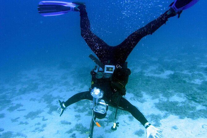 Get SCUBA Certified at San Juan - Day Two underwater training: Atlantis City, fish wall ruins, and coral life