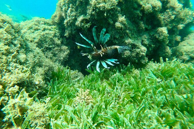 Guided Snorkeling adventure in San Juan - Hilton day access: where the value really shows up