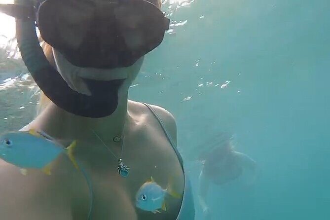Guided Snorkeling adventure in San Juan - Meeting up at 15 C. San Gerónimo and getting geared up