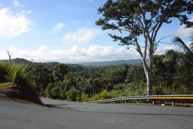 Half-Day Center of Puerto Rico Cultural Tour - Quick hits before you go