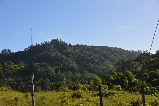 Half-Day Center of Puerto Rico Cultural Tour - Mountain viewpoint time: photos are nice, but the bigger value is scale