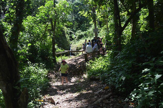Half-Day Center of Puerto Rico Cultural Tour - The lunch stop: budget for it, then eat like locals