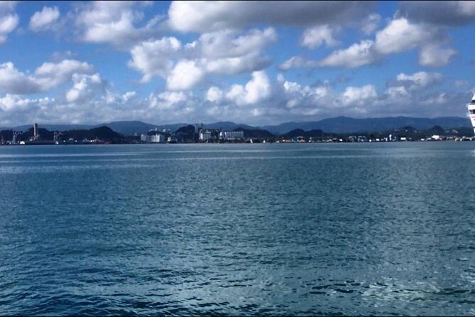 Half-Day Center of Puerto Rico Cultural Tour - Small-group comfort in a big-city pickup world
