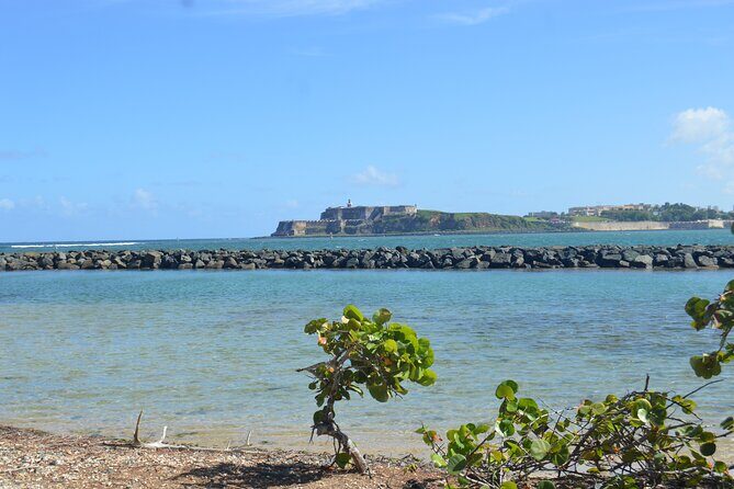 Half-Day Center of Puerto Rico Cultural Tour - Tips to get the most out of your Center of Puerto Rico morning