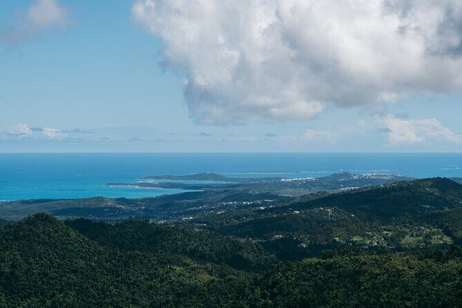 Half-Day El Yunque National Forest Tour from San Juan - Guides make the difference: what the best ones do