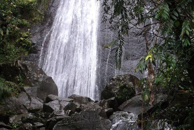 Half-Day El Yunque National Forest Tour from San Juan - Who this El Yunque half-day tour fits best