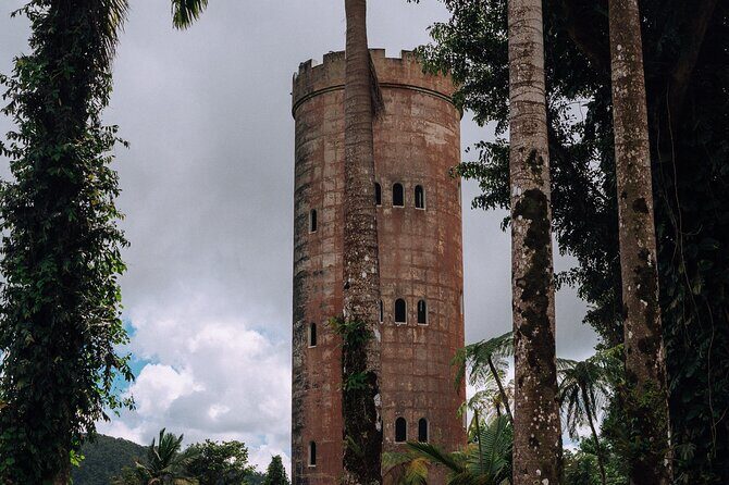 Half-Day El Yunque National Forest Tour from San Juan - El Yunque National Forest: the rainforest stop that teaches by doing